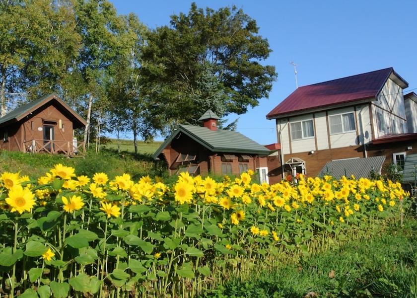 Hokkaido Biei Exterior Detail