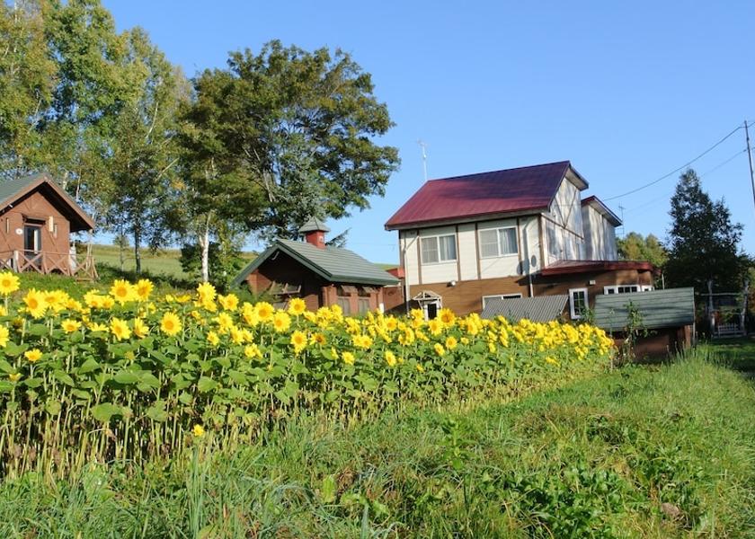 Hokkaido Biei Exterior Detail