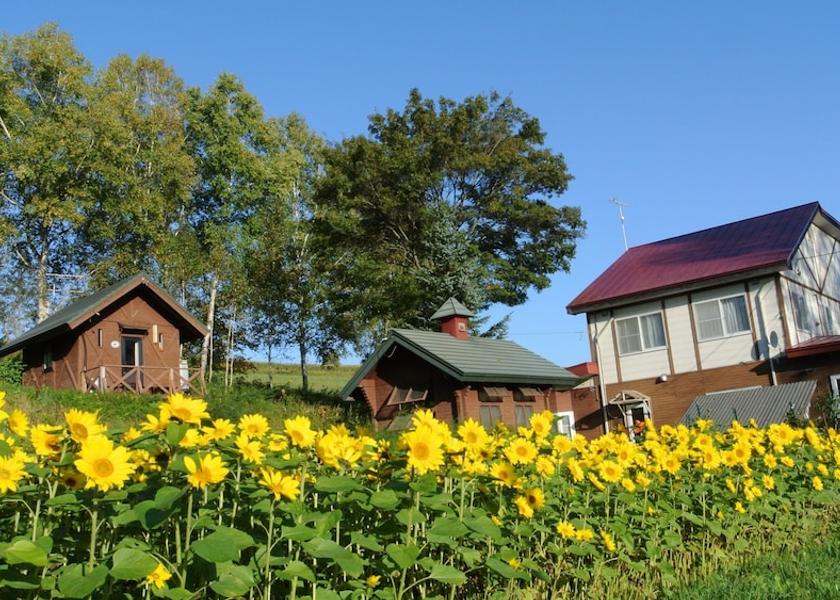Hokkaido Biei Exterior Detail