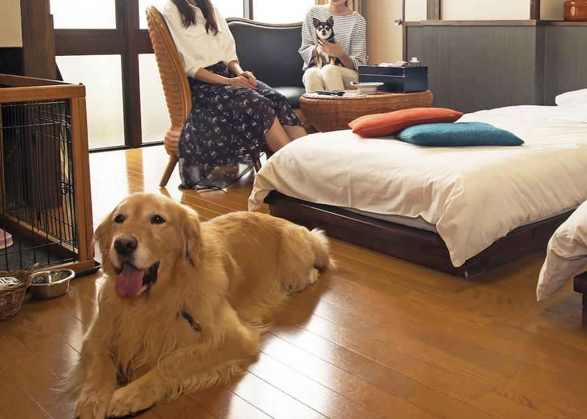 Gifu (prefecture) Gero Room