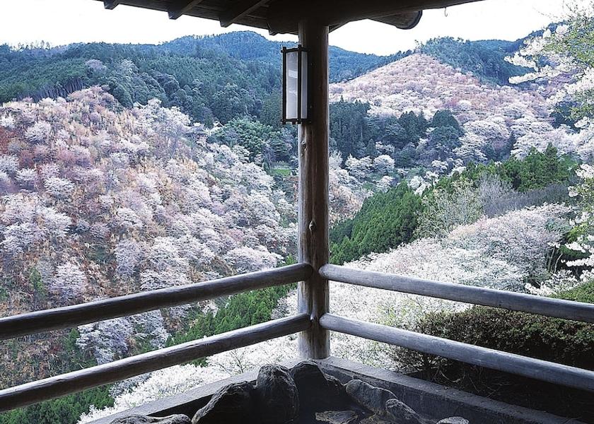 Nara Yoshino Spa