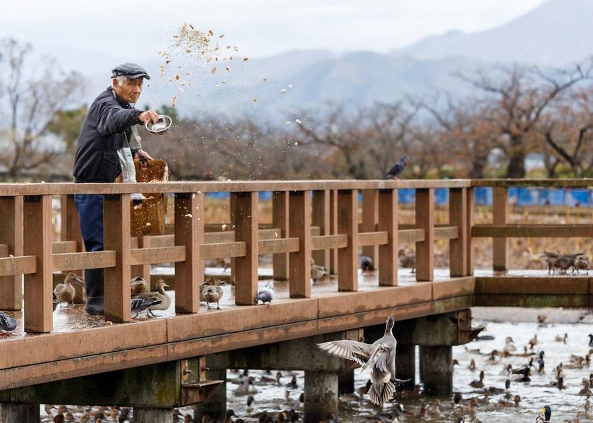 Niigata Niigata Ecotours
