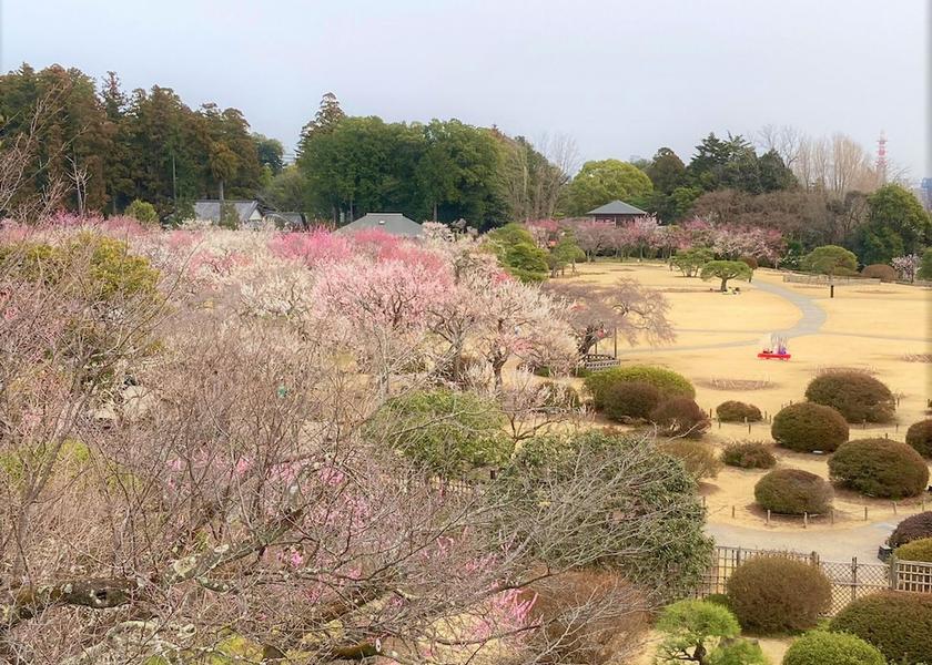 Ibaraki Mito Point of interest