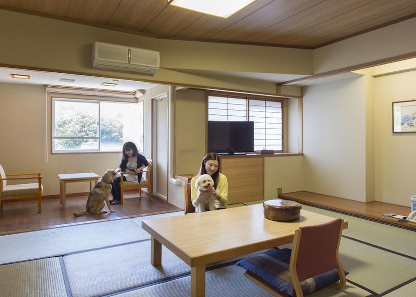 Mie (prefecture) Toba Room