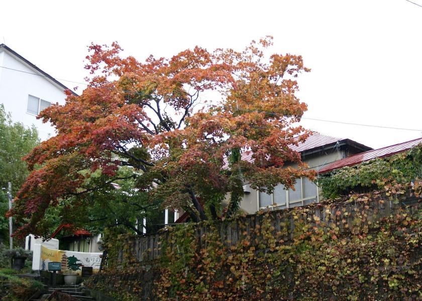 Hokkaido Otaru Exterior Detail