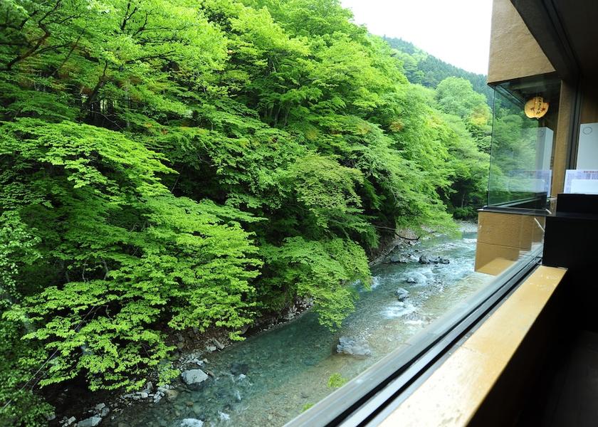Gunma Nakanojo View from Property