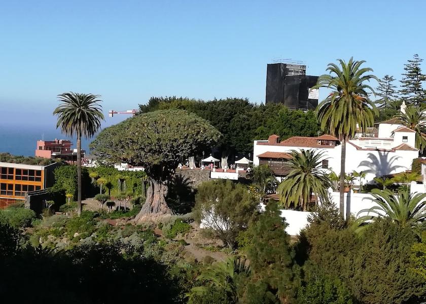 Canary Islands Icod de los Vinos Exterior