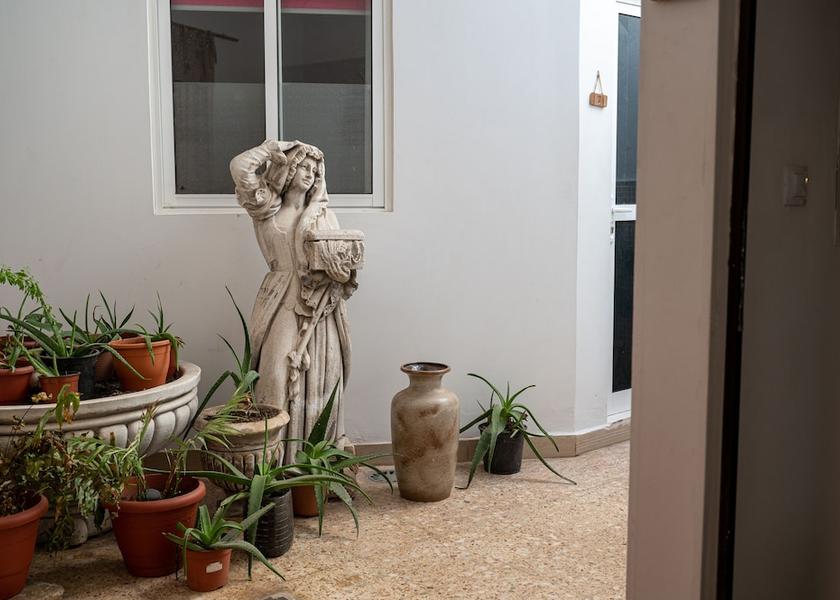 Canary Islands Icod de los Vinos Interior