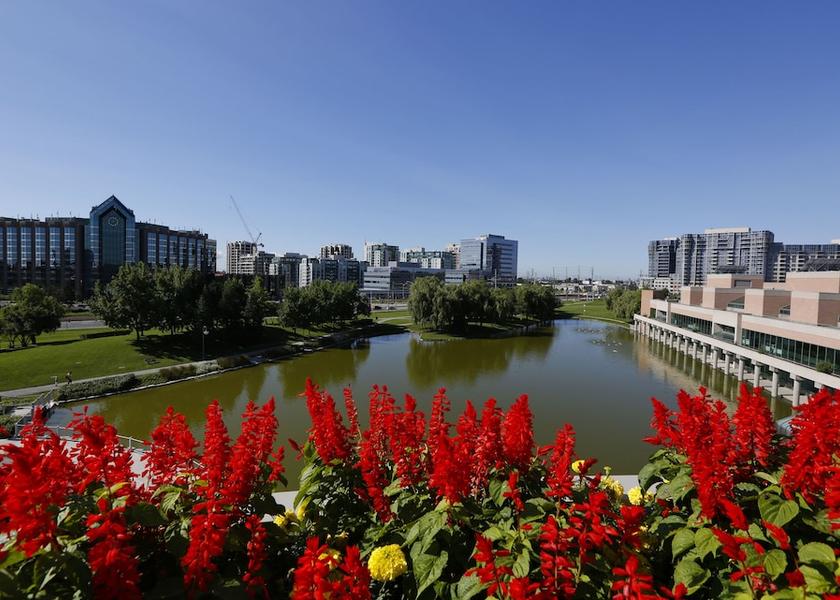 Ontario Markham View from property