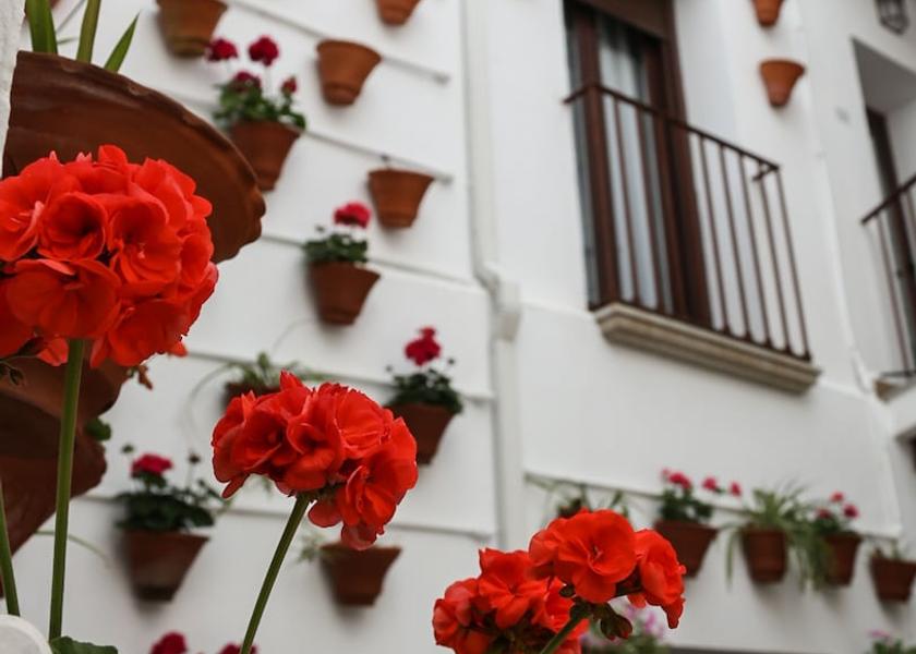 Andalusia Hinojosa del Duque Courtyard