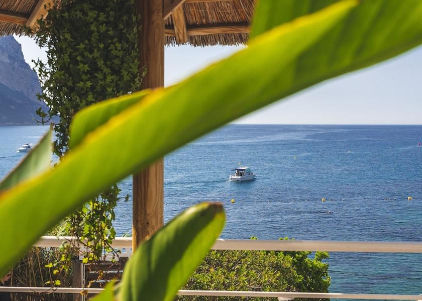 Provence - Alpes - Cote d'Azur Cassis Restaurant