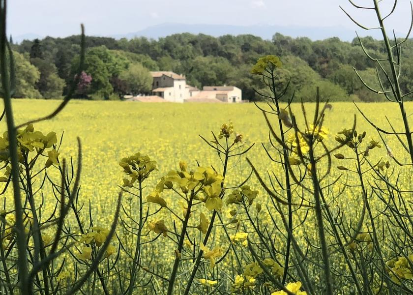 Land View from Property
