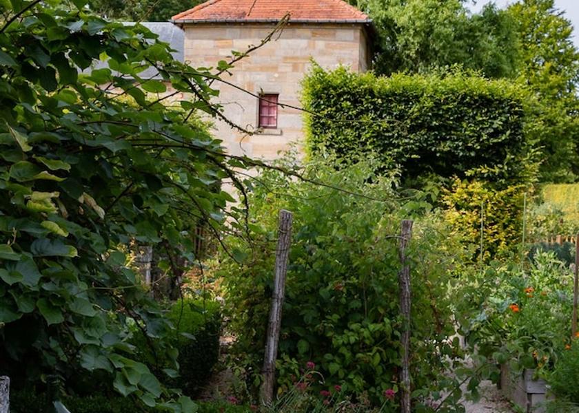 Grand Est Revigny-sur-Ornain Miscellaneous
