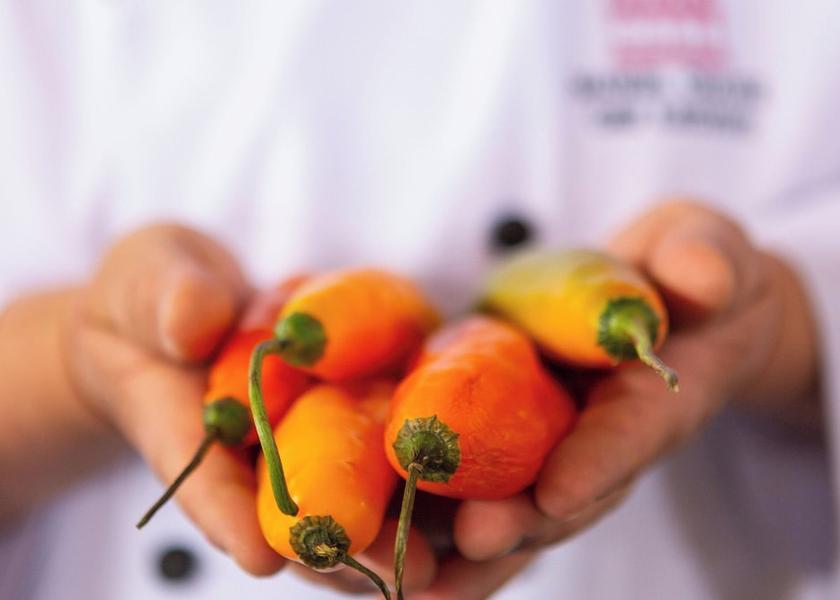 Cusco (region) Cusco Amenity