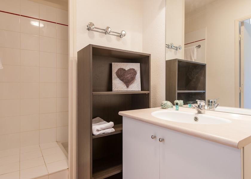 Auvergne-Rhône-Alpes Marcy-l'Etoile Bathroom