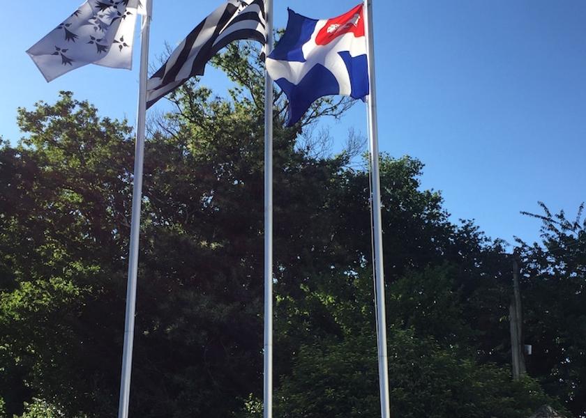 Brittany Grand-Champ Entrance
