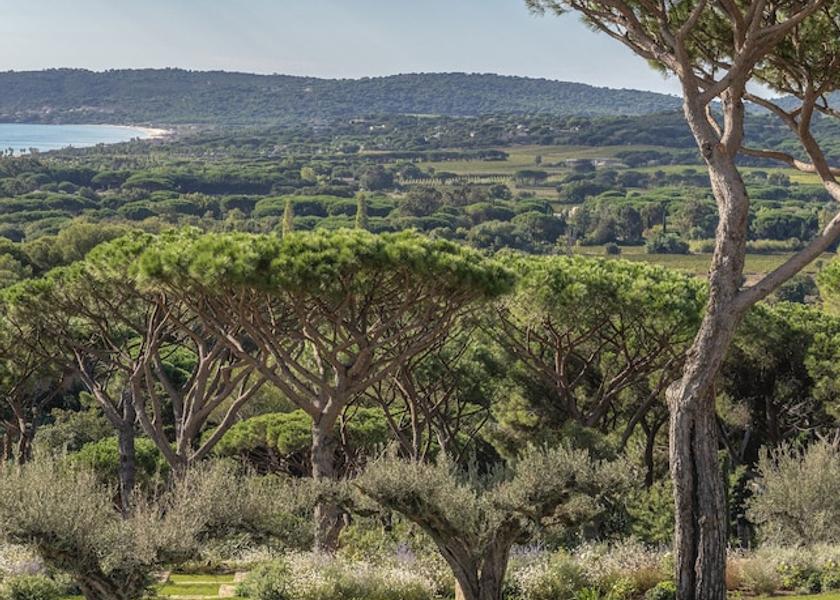 Var Saint-Tropez Pool