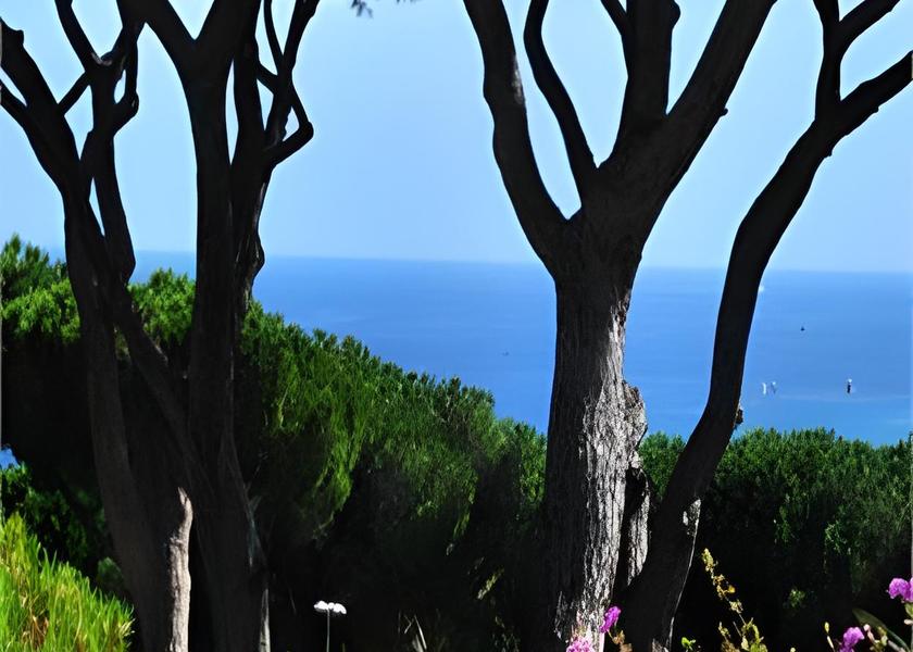 Provence-Alpes-Côte d'Azur Saint-Tropez Garden