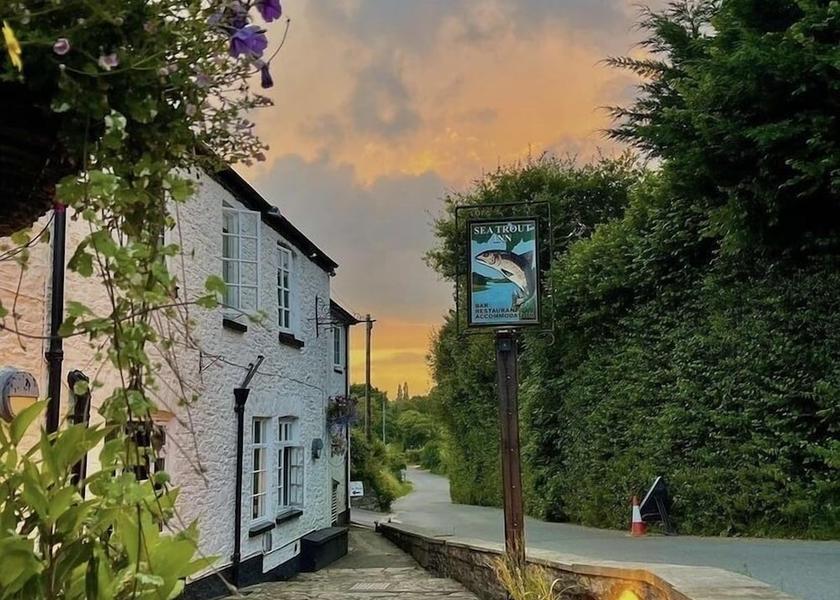 England Totnes Garden