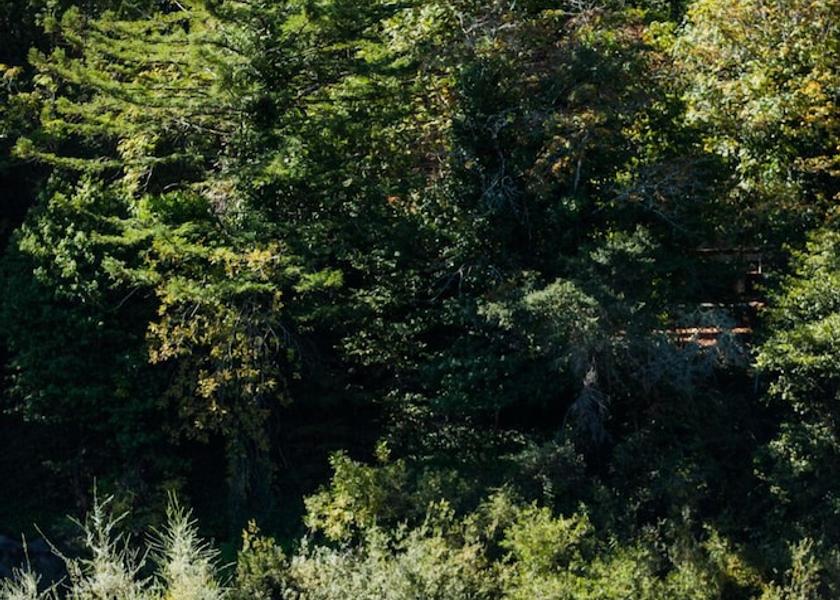 California Guerneville Exterior Detail