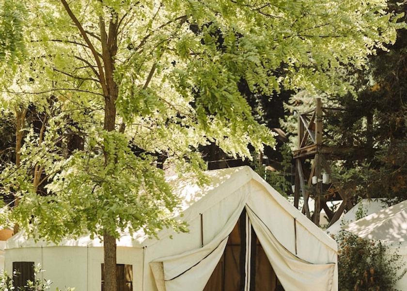 California Guerneville Room