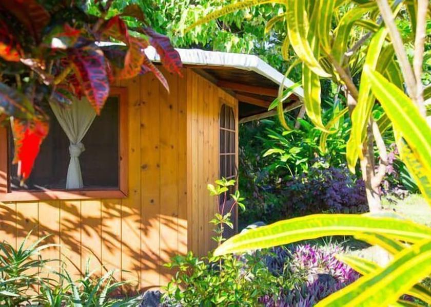 Hawaii Pahoa Terrace