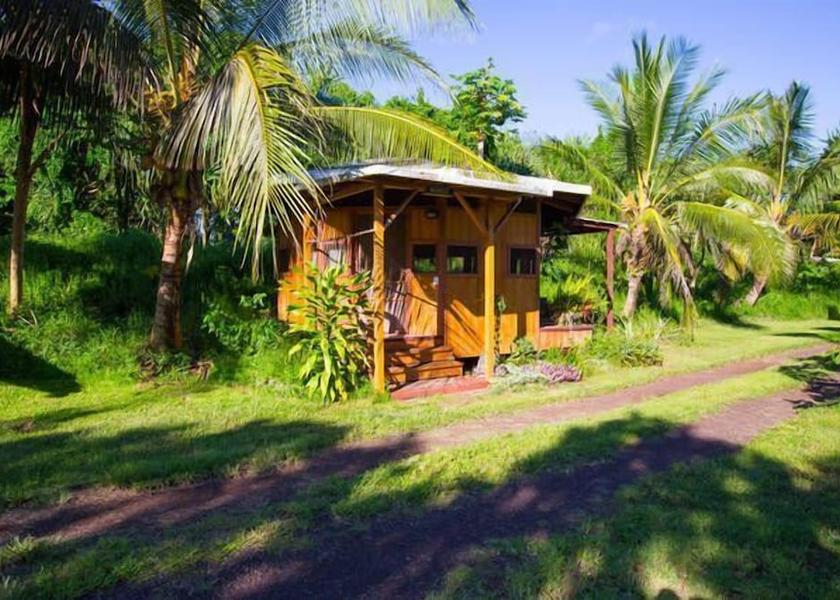Hawaii Pahoa Terrace