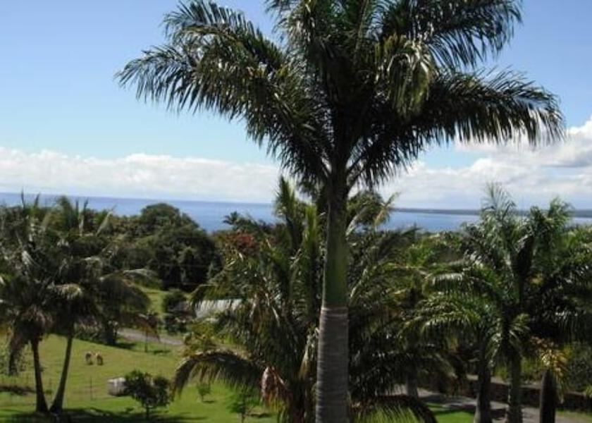 Hawaii Papaikou Beach/ocean view