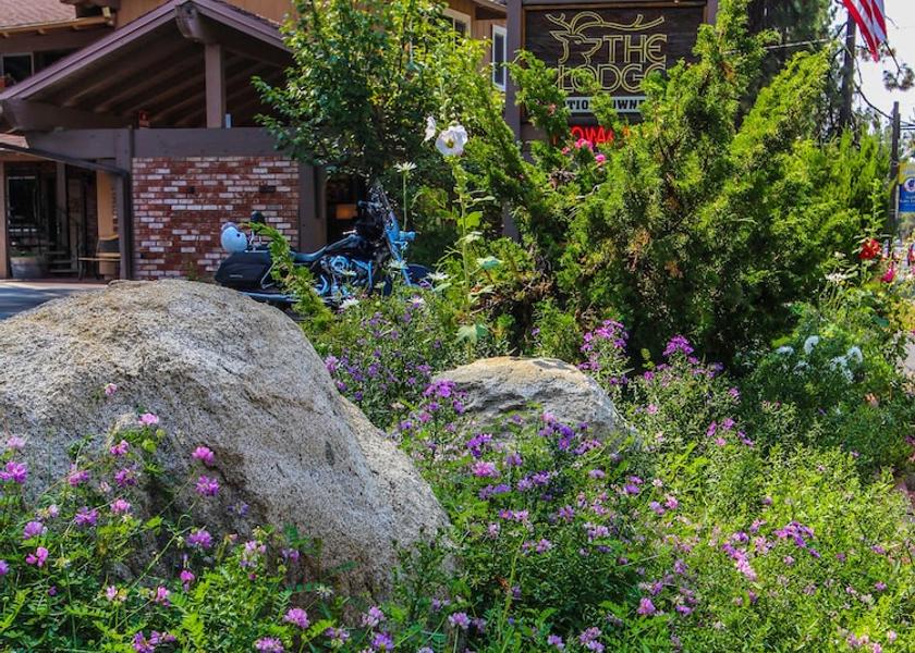 California South Lake Tahoe Primary image