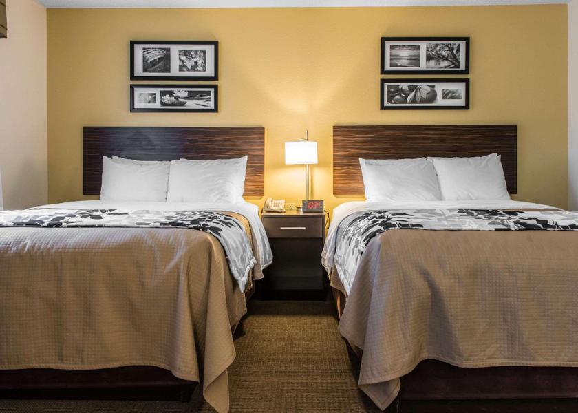 Pennsylvania Pittsburgh 2 Queen Beds, Suite, Nonsmoking