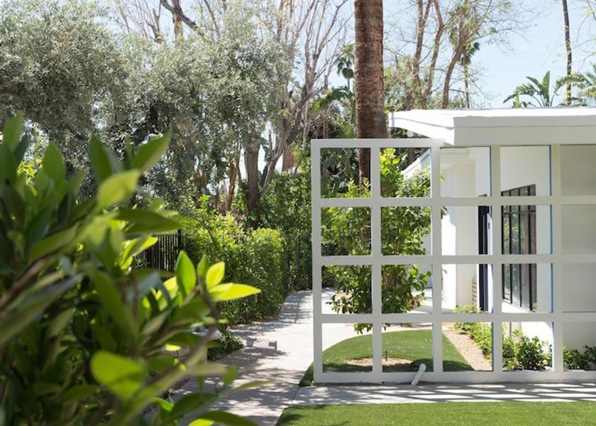 California Palm Springs Garden