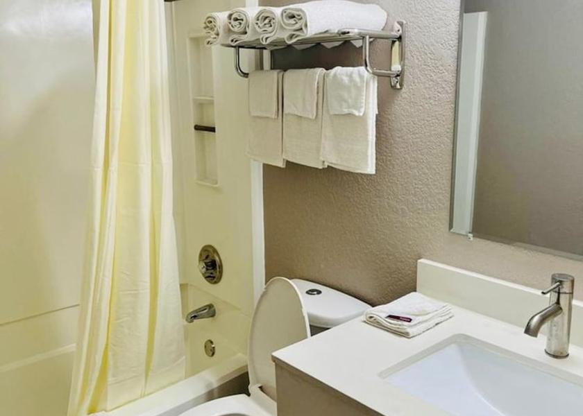 Michigan Benton Harbor Bathroom