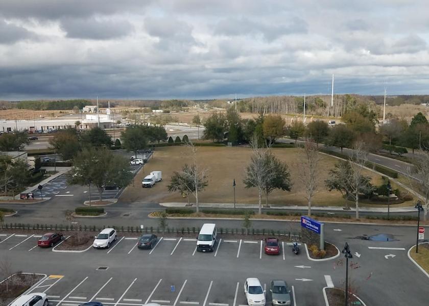 Florida Lutz View from property