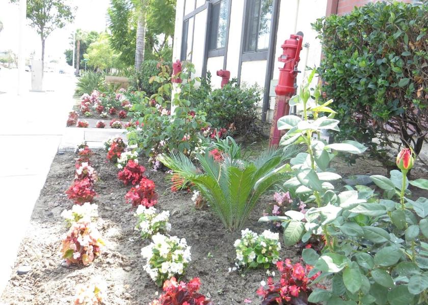 California Westminster Property Grounds