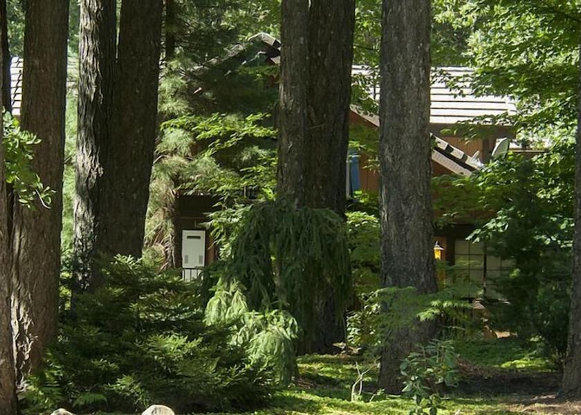 California Nevada City Property Grounds