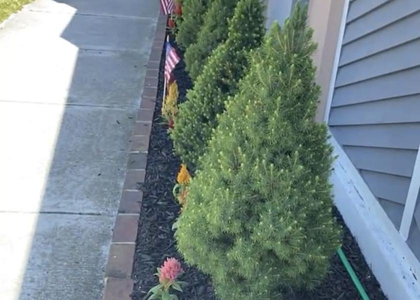 New Jersey Atlantic City Facade