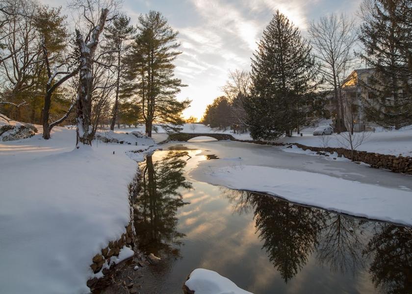 Virginia Warrenton Property Grounds