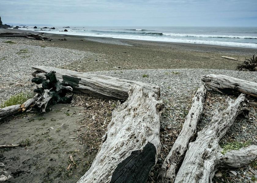 Oregon Brookings Beach