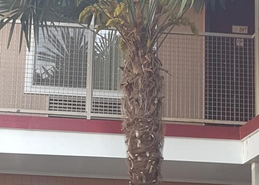 Oregon Eugene Exterior Detail