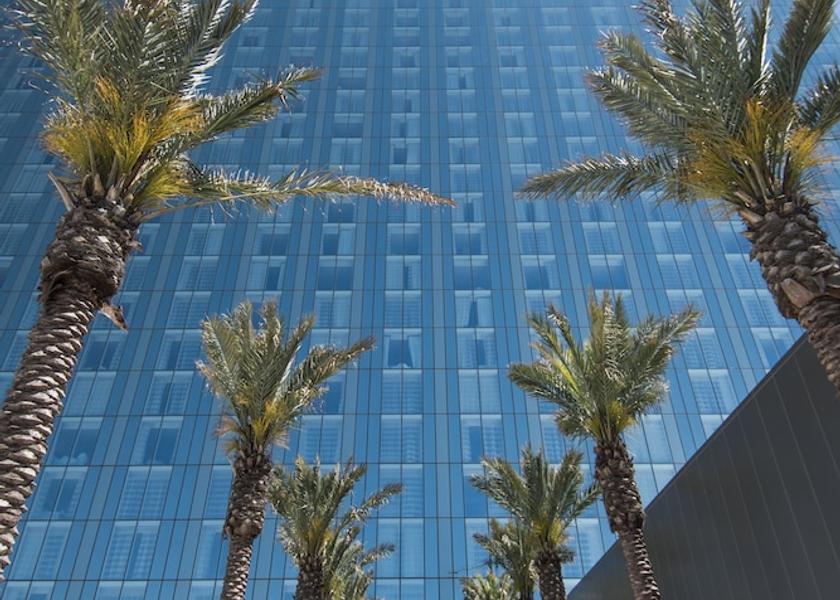 Texas Austin Terrace