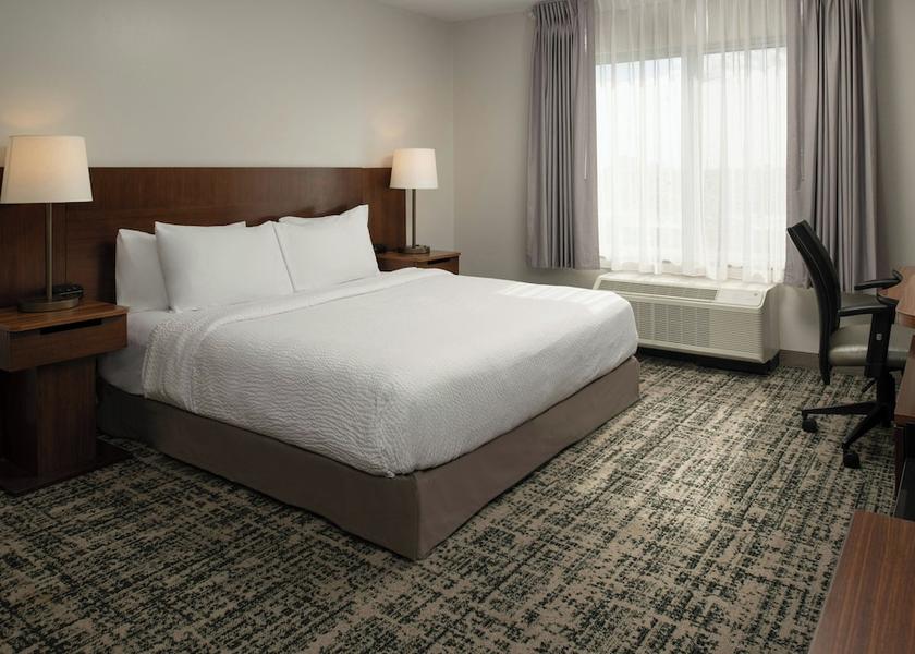 Florida Tampa Room