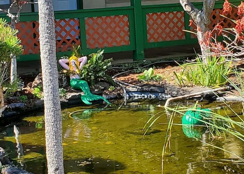 California Kelseyville Exterior Detail