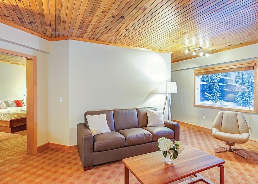 Colorado Telluride Living room
