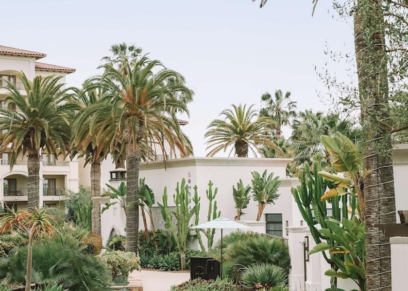 California Dana Point Garden