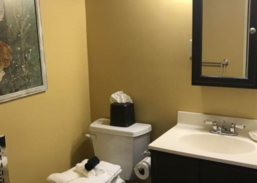 Alaska Palmer Bathroom