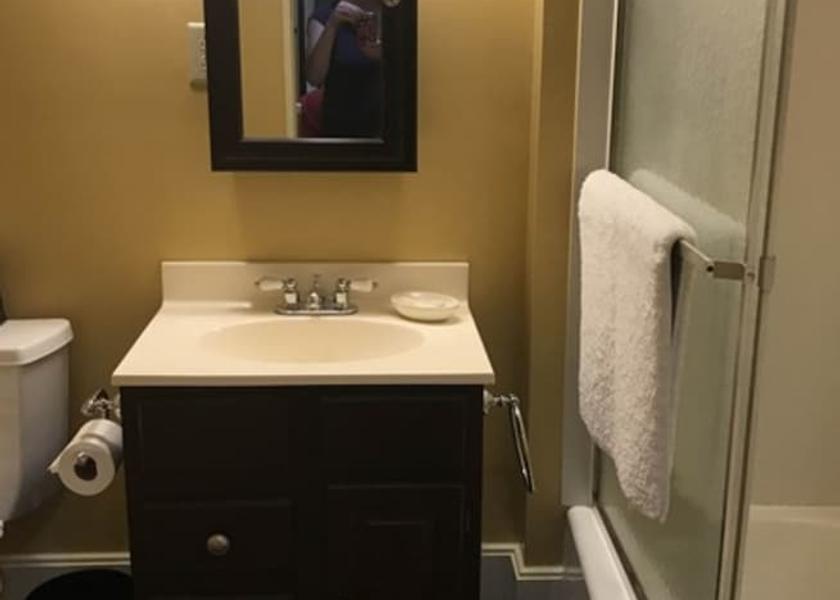 Alaska Palmer Bathroom