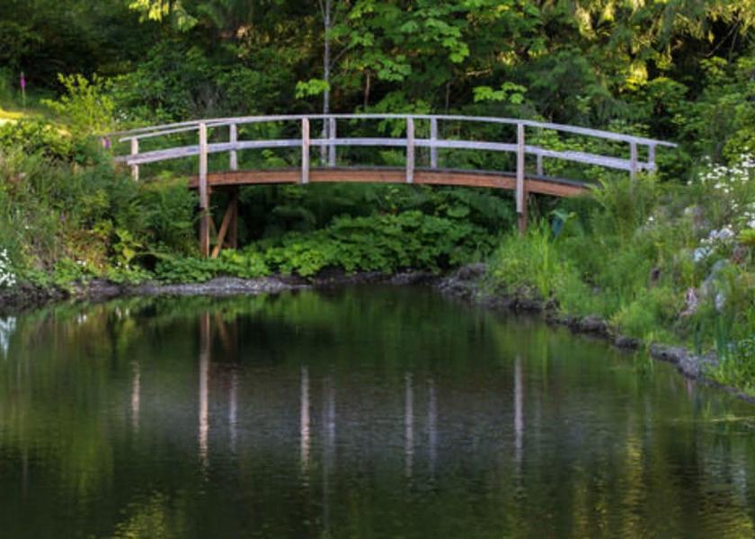 Washington Port Angeles Lake