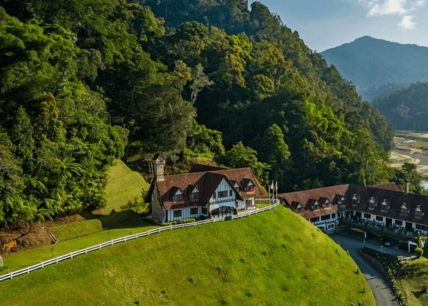 Pahang Ringlet Primary image