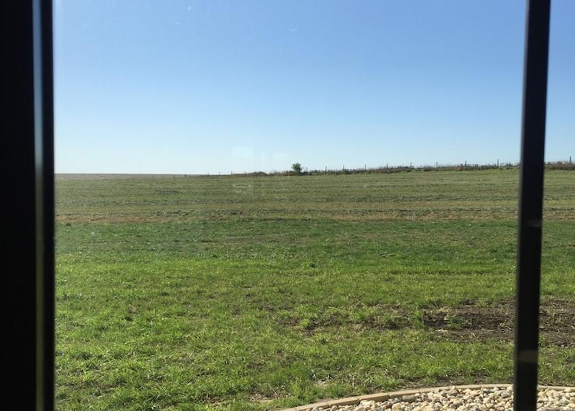 Iowa holstein View from Property