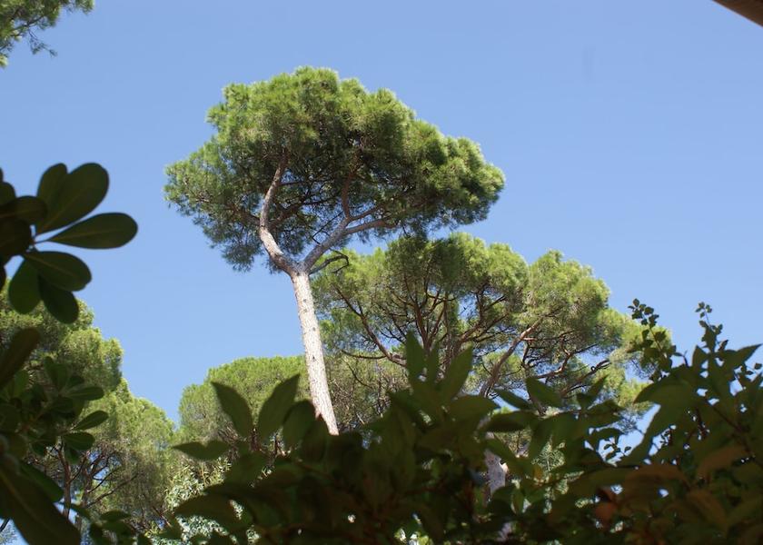Var Sainte-Maxime View From Room
